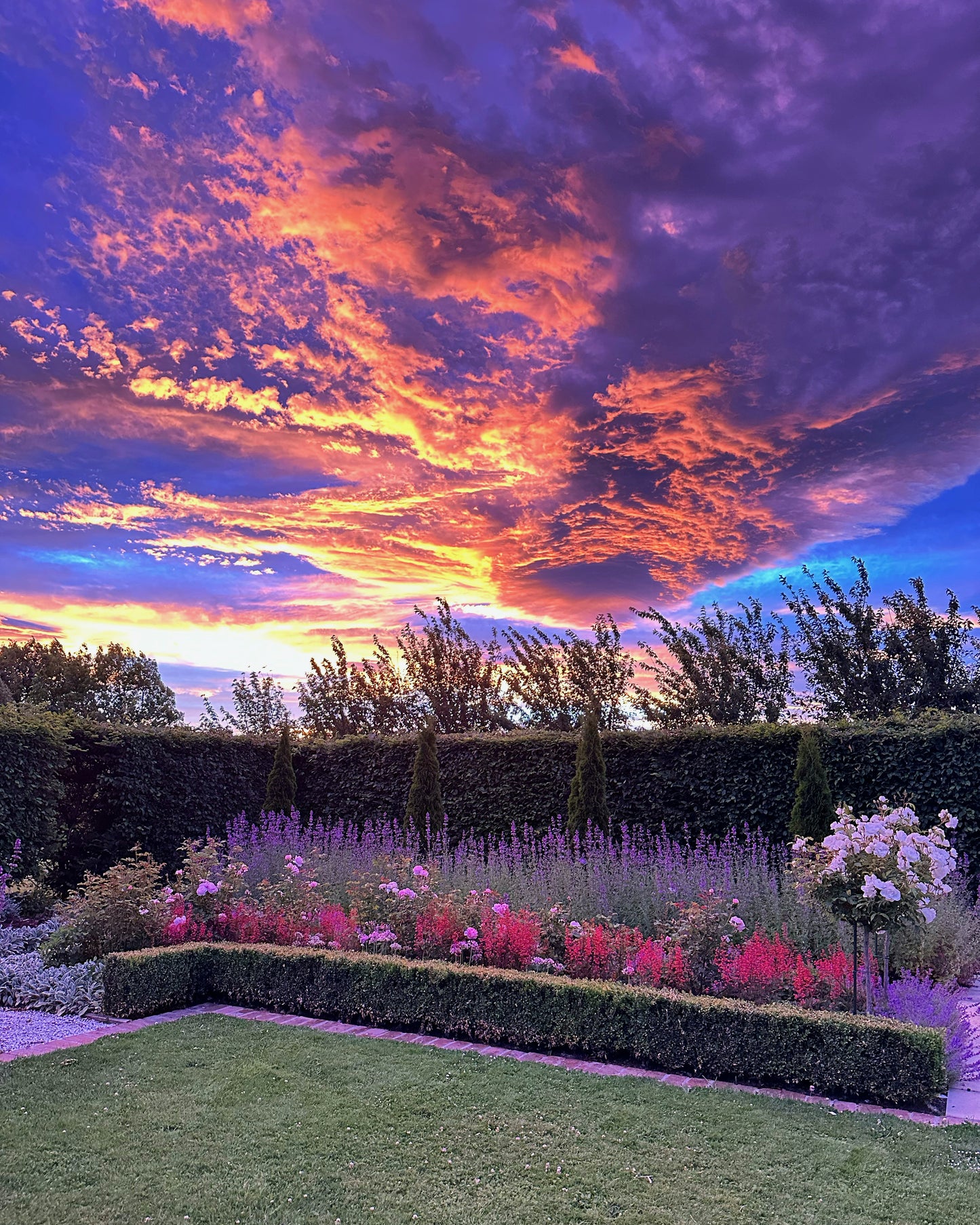 Fully-Guided Garden Tour - Oasis Cottage